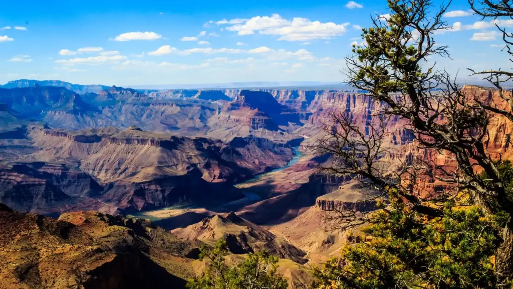 Arizona area image