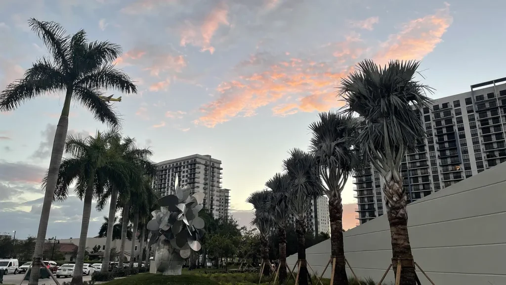Doral area image