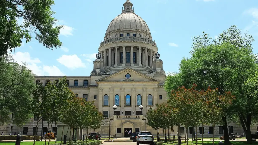 Mississippi area image